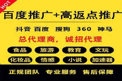 百度推广平台案例剖析：揭秘广告投放策略